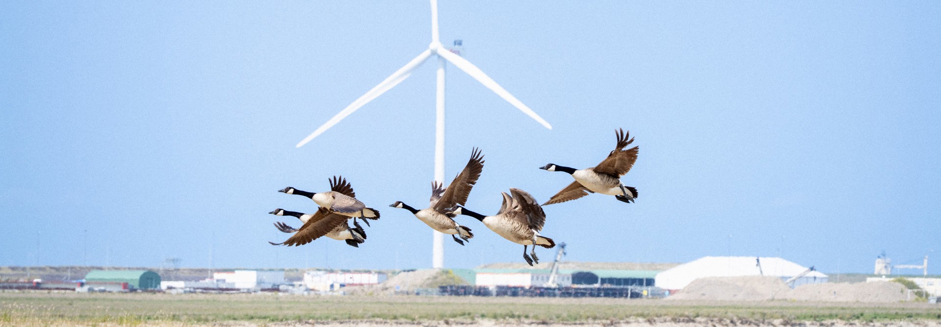 J9uqpjh2hn8eznymxo4myvpp2qgwt2avtifxzqsx