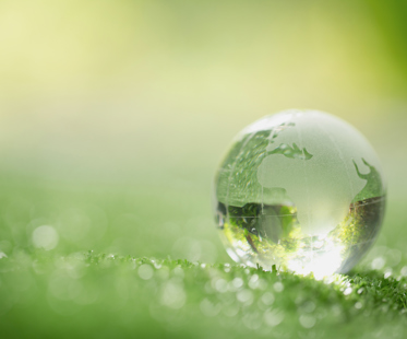 Close Up Crystal Globe Resting Grass Forest