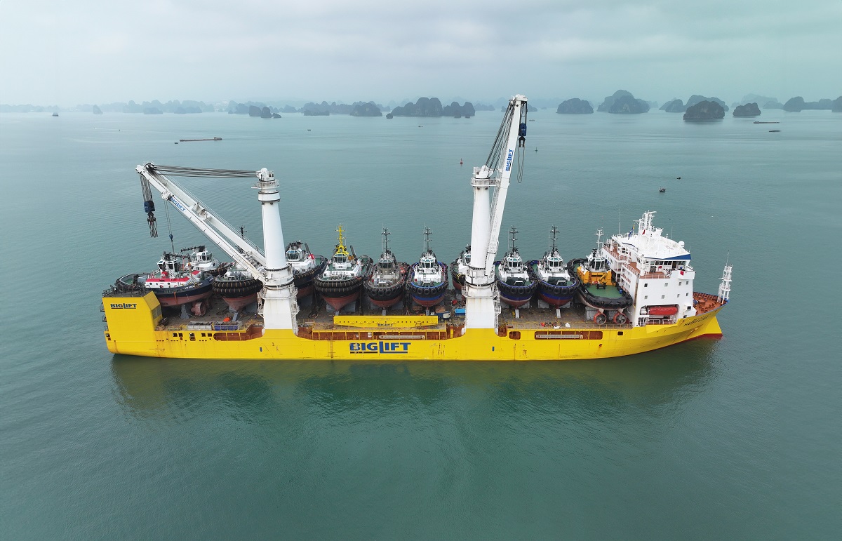 Damen 3 (3)