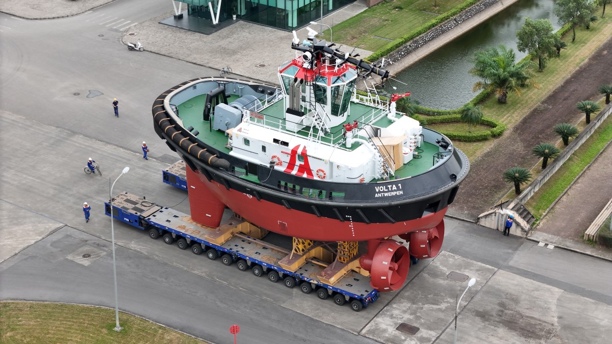 Damen 5