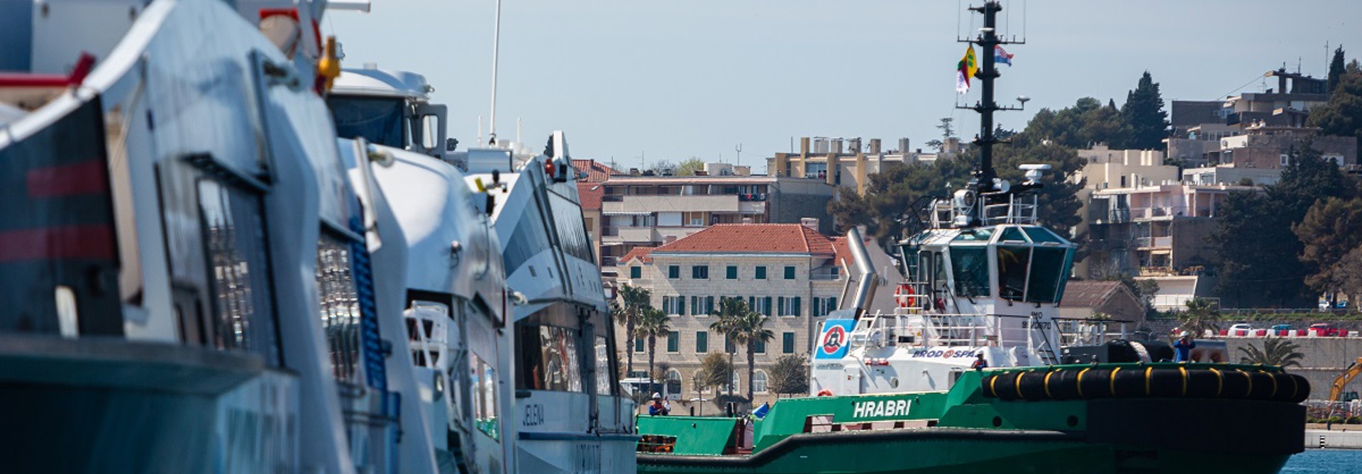 Damen (6)