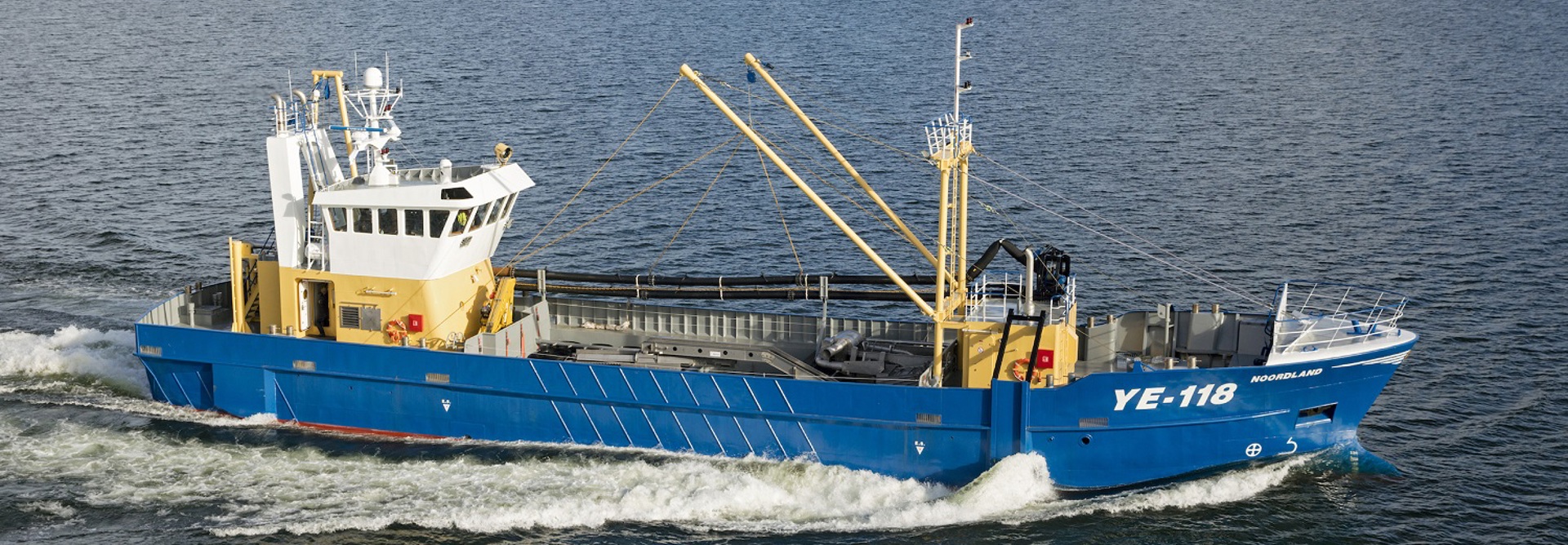 Damen 7