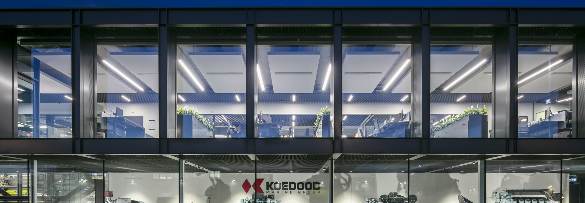 NB250501 Koedood