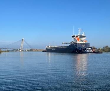 Thecla2