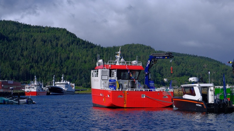 Damen (36)