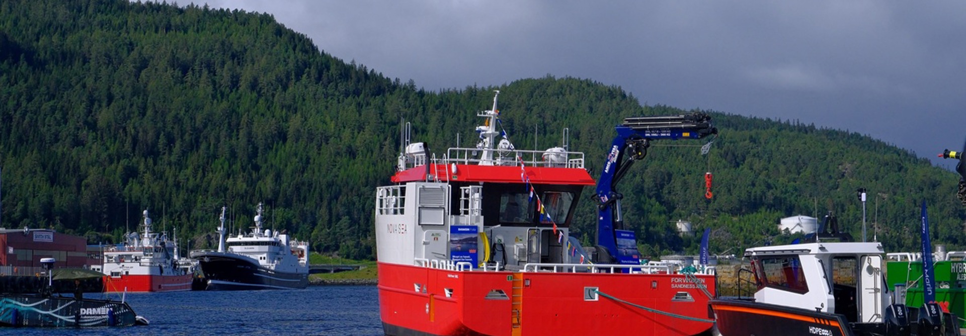 Damen (36)